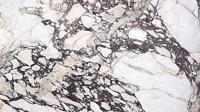 Calacatta Viola Marble