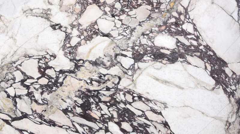 Calacatta Viola Marble Calacatta Viola Marble