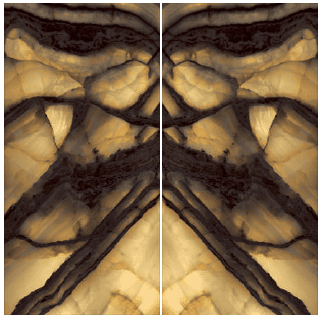 BACKLIT LEAPORD BACKLIT LEAPORD