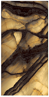 BACKLIT LEAPORD BACKLIT LEAPORD