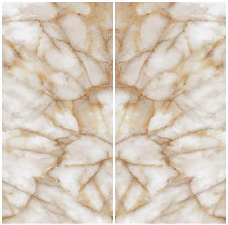 BACKLIT TIGER BACKLIT TIGER