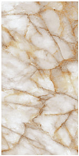 BACKLIT TIGER BACKLIT TIGER