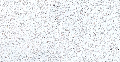 Delicacy White Terrazzo