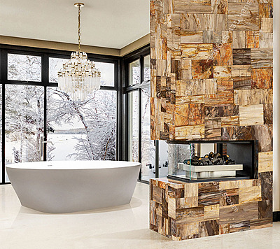 Petrifies Wood Precious Stone Petrifies Wood Precious Stone