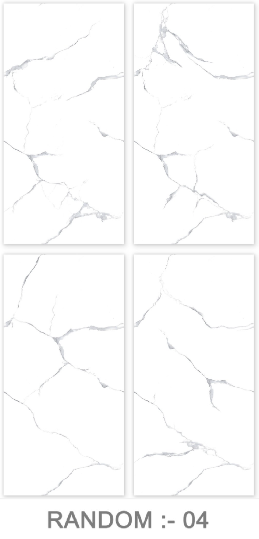 SATVARIO CLASSIC_END-(61512)