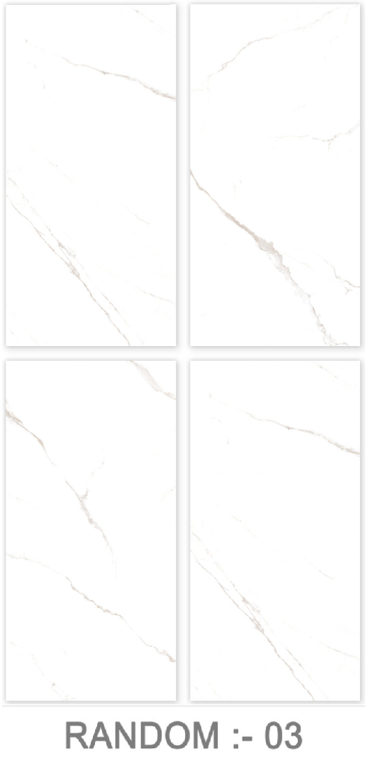 STATUARIO FROST-(61514)