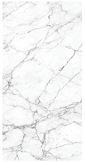 TORSO BIANCO TORSO BIANCO