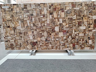 Petrifies Wood Precious Stone