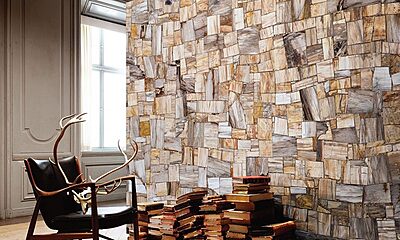 Petrifies Wood Precious Stone Petrifies Wood Precious Stone